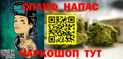 молекула духа Гатчина