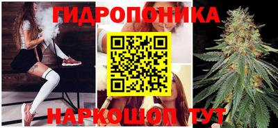ПСИЛОЦИБИНОВЫЕ ГРИБЫ Гагарин